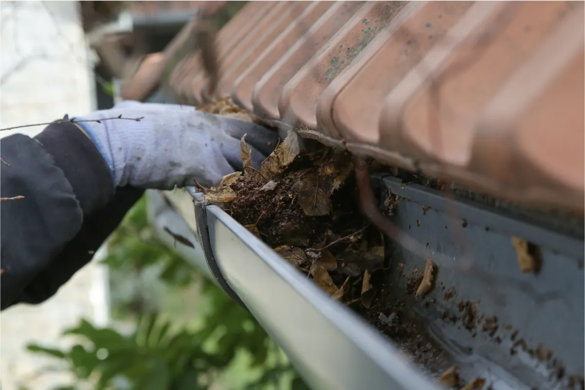 Close-up of gutter cleaning in progress